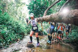 BIB: 
                            <button type="button" onclick="openModal(25374021)" class="btn btn-primary btn-sm float-right btn-popup" data-toggle="modal" data-target=".modal-high-quality">
                        <i class="fas fa-shopping-cart"></i> Add to Cart
                    </button>
                                            <button type="button" onclick="isThisMe(25374021, true)" class="btn btn-success btn-sm float-right btn-popup btn-isme hidden" data-toggle="tooltip" data-placement="bottom" title="นี่คือรูปของคุณใช่ไหม คลิกที่นี่เพื่อเอาเข้าอัลบั้ม">
                        <i class="fas fa-plus"></i> Add to album
                    </button>
                    <button type="button" onclick="isThisMe(25374021, false)" class="btn btn-warning btn-sm float-right btn-popup btn-isnotme hidden">
                        <i class="fas fa-ban"></i> Remove from album
                    </button>